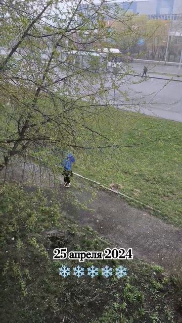 #россия #многодетнаясемья #music #топ #снег #погода #православие #еда #рецепты #shortvideo #тренды смотреть онлайн