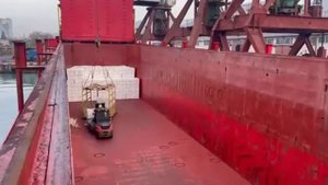 Погрузка целлюлозы на судно