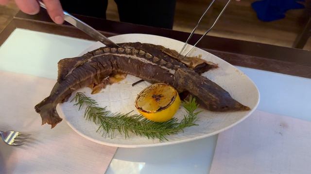 Показываю как разделать стерлядь) смотреть онлайн