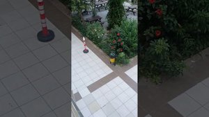 Турция, Конаклы,отель Hedef Resort Spa 7 июня