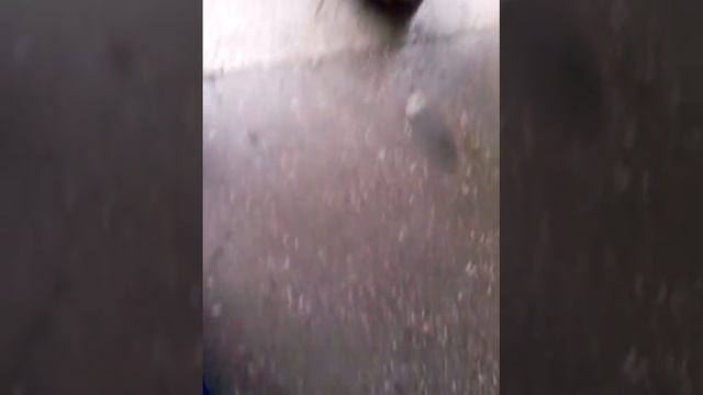 Бежим ат дежурного:-D :-D смотреть онлайн