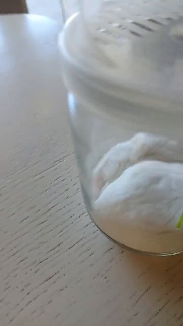 хомяки в банке смотреть онлайн