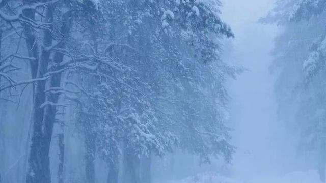 СКОРО ВЕСНА 🌱[эмимация] смотреть онлайн