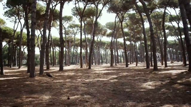 Лидо ди Остия смотреть онлайн