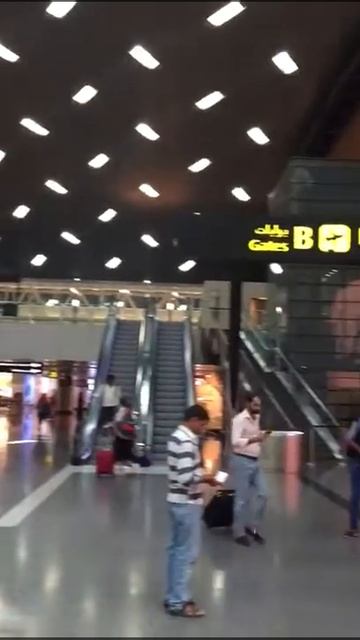 Илюмжинов в аэропорту Дохи (Катар) (08.08.2017) смотреть онлайн