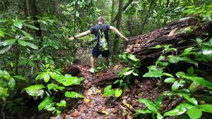 БОРНЕО (КАЛИМАНТАН) Маршрут самостоятельного путешествия. Джунгли и дайвинг