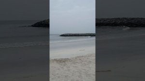Шарджа Отель CORAL BEACH пляж сентябрь 2023 7 часов утра персидский залив