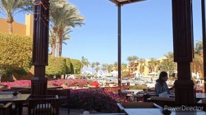 Инна Судакова - пугает гостей, отель новый поведение старое