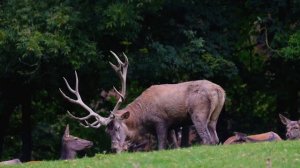 «Космическое шоу июля: звездопады, суперлуние и Манхэттенский Хендж!»