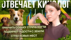 Собака не даёт стричь когти и подбирает с земли — объясняю ЧТО ДЕЛАТЬ как кинолог