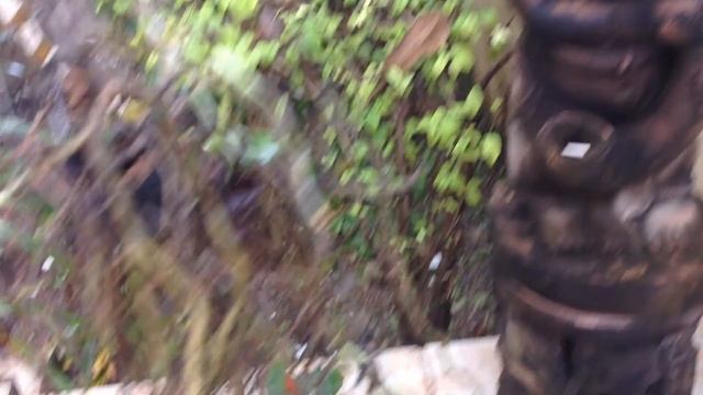 Отель Poppa Palace. смотреть онлайн