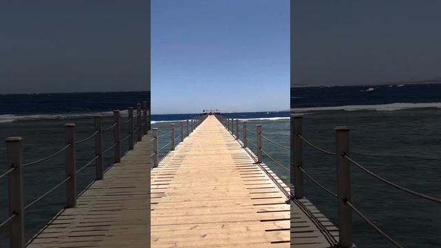Рехана роял бич 5 шармэль шейх