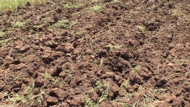 Собрались всем селом посмотреть на этот чудо агрегат!