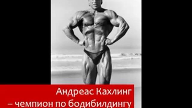Известные сыроеды и вегетарианцы