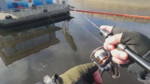 ОН КЛЮЕТ НА КАЖДОМ ЗАБРОСЕ🐟🐟🐟