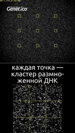 В День ДНК