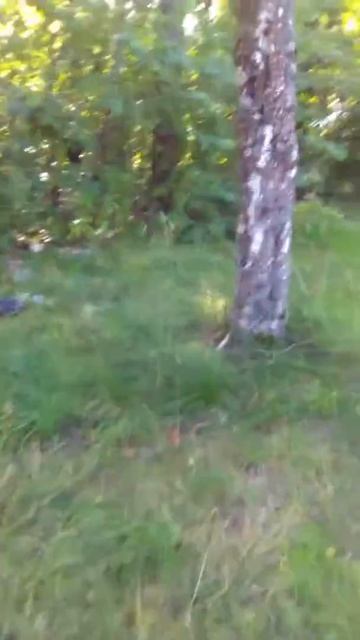 Река. Истра д. Пятница смотреть онлайн