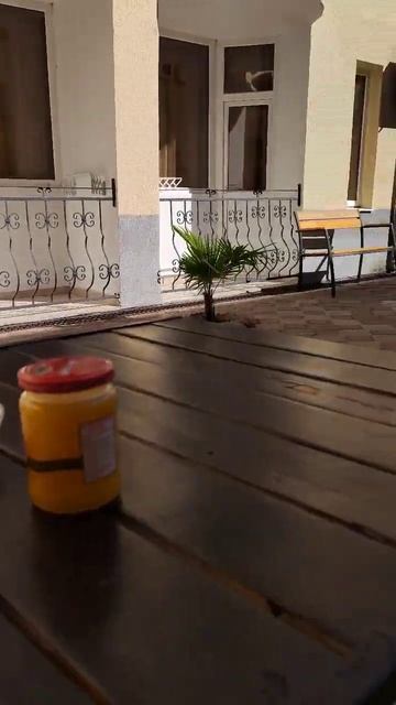 Отель "Олимп" на ул. Ушакова, Лазаревское.#завтрак #лазаревское #отдыхнаморе