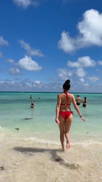 Карибские острова #look #shortvideo #live #ocean #prettywoman #woman #shorts