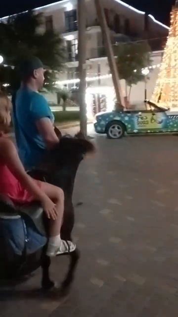 Крым Феодосия Береговое 2023 до новых встреч в 2024 . смотреть онлайн