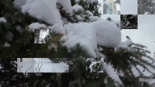 Зима в Сочи. смотреть онлайн