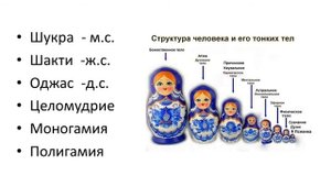 11. Каузальное тело. ч7. Сила семени. Оджас