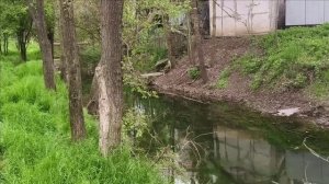 Керчь. Прогулка, сад, речка 25.04.25