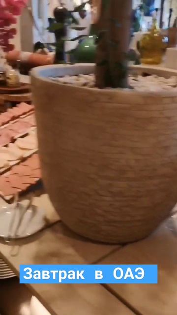 Завтрак в отеле Rixos marina abu dhabi #shorts #завтрак #абудаби #оаэ #slaviklife #славиклайф #food смотреть онлайн