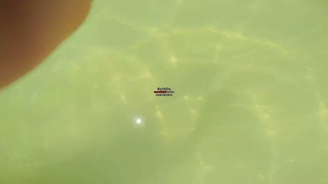 Gopro hero 3+ Доминикана смотреть онлайн