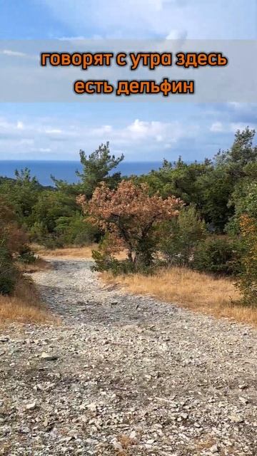 #отдых часть 7 #море #кемпинг #скалы #путешествия #путешествие #путешествияпороссии #туризм #красот смотреть онлайн