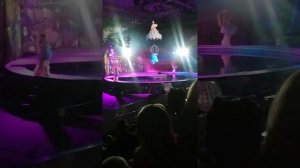 Московский цирк на воде