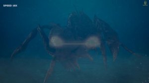 Train, Mysterious Sound From the Depths of the Southern Ocean