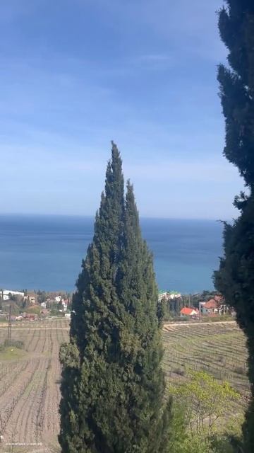 КРЫМ 2022 | ГУРЗУФСКИЕ КРАСОТЫ | июнь ❤️🌊⛰🌴🏖🐬☀️ смотреть онлайн