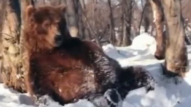 Виталий Аксенов   Подарки   YouTube