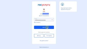 Вход в ЛК через госуслуги