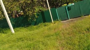 VID_20250425_084540.mp4 [От Зебу] Иду домой