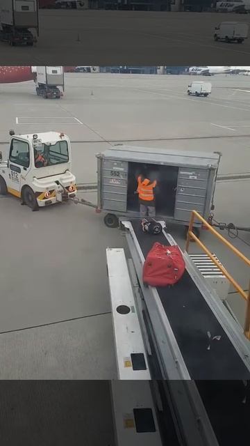 Приём багажа во Внуково