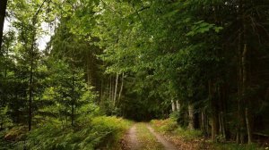 📱Это приложение завело нас непонятно куда! Randonautica.