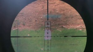 Стрельба Крикет 5.5.мм на кучность (100 метров)