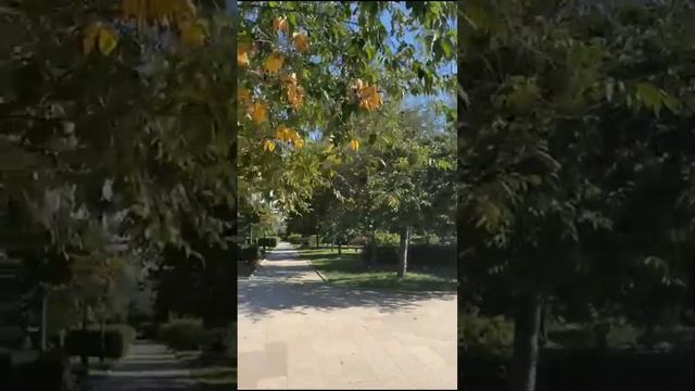 ВНУКИ ГУЛЯЮТ ПО Г. ГРОЗНЫЙ! РОДИЛСЯ ВНУК! Я СЧАСТЛИВАЯ БАБУЛЯ!!! смотреть онлайн