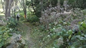 2015 Iron Trail - 96 km