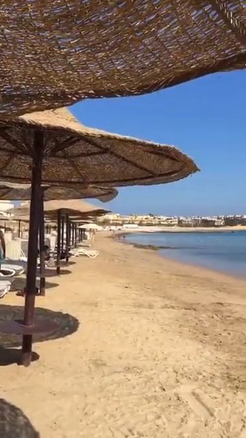 Отель Old Palace Resort 5* Египет, Сахл Хашиш смотреть онлайн