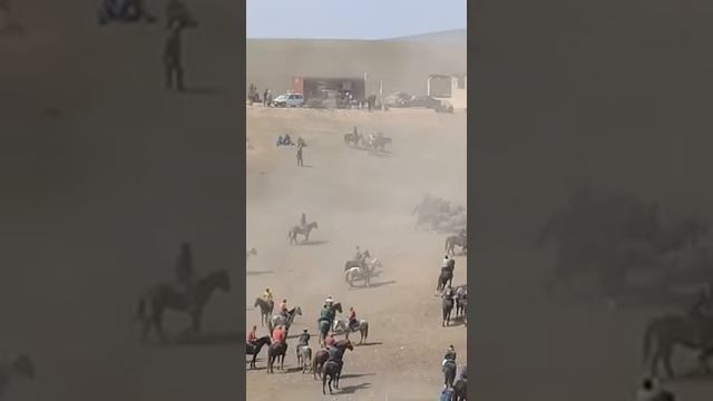 ноокен шайдан улак смотреть онлайн