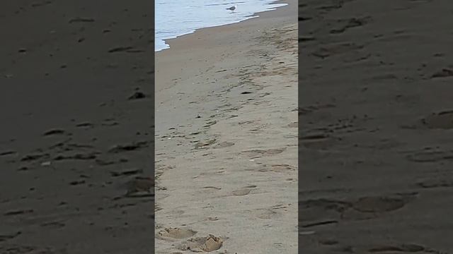 Пляж Благо. смотреть онлайн