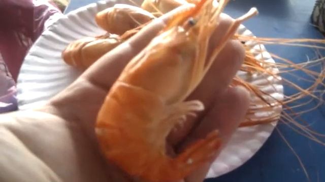 Утро на пляже. смотреть онлайн