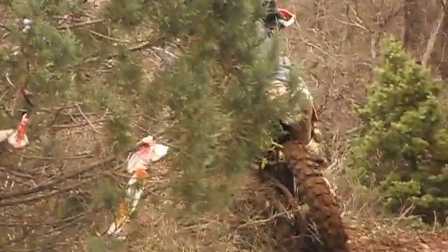 Эндуро Эхо Каменного шторма 5 смотреть онлайн