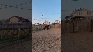 Даша на Аквилоне, проезд схемы "манежная езда 1.3" на плацу, на закате.