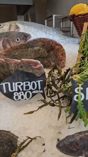 Ресторан греческой кухни в Атлантис Рояль Milos, Dubai 2023 смотреть онлайн