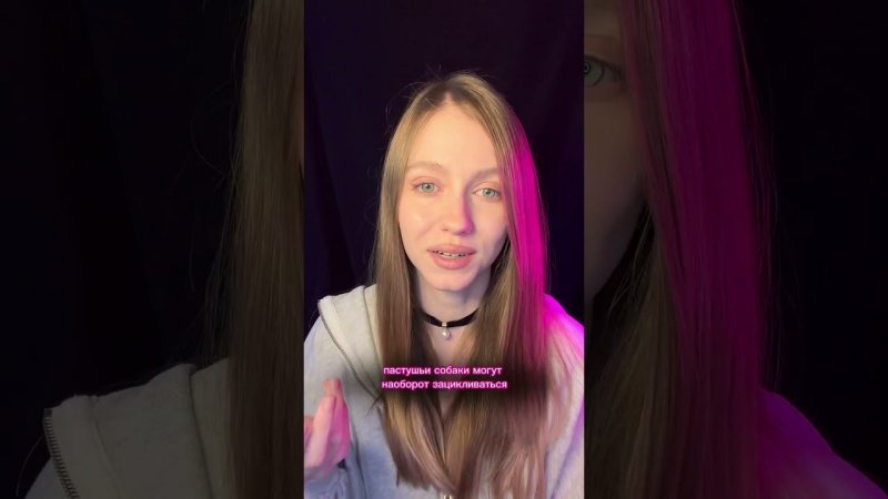 Что ожидать от собаки? #воспитаниесобак #собака #кинолог #животные