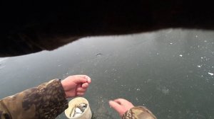 Первый выход на лёд   и ловля плотвы и карася